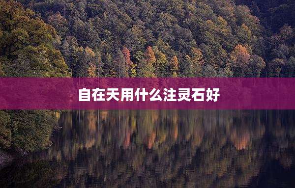 自在天用什么注灵石好