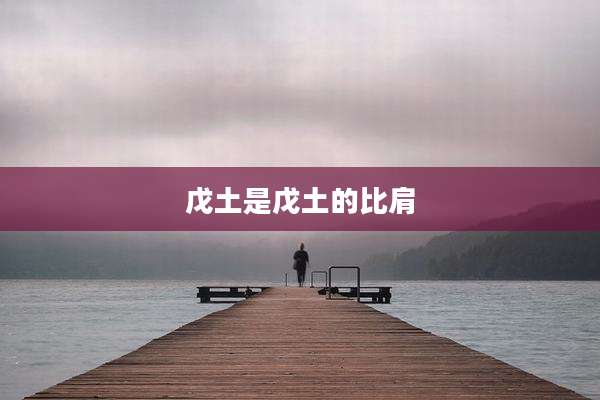 戊土是戊土的比肩