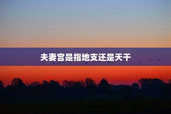 夫妻宫是指地支还是天干
