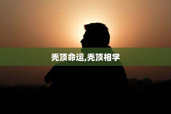 秃顶命运,秃顶相学