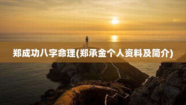 郑成功八字命理(郑承金个人资料及简介)