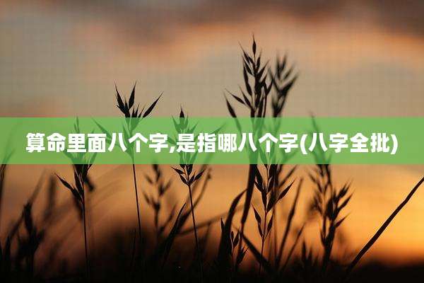 算命里面八个字,是指哪八个字(八字全批)