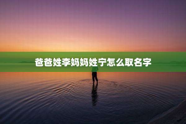 爸爸姓李妈妈姓宁怎么取名字