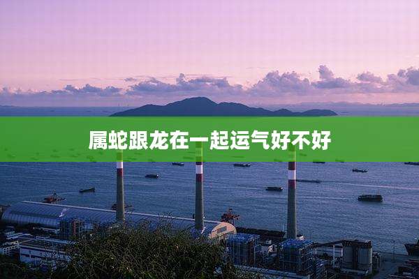 属蛇跟龙在一起运气好不好