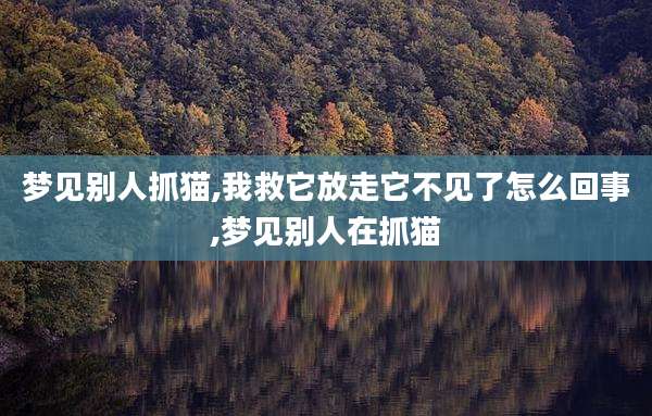 梦见别人抓猫,我救它放走它不见了怎么回事,梦见别人在抓猫