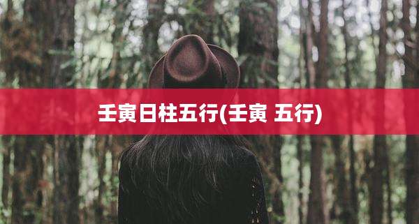 壬寅日柱五行(壬寅 五行)