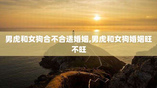 男虎和女狗合不合适婚姻,男虎和女狗婚姻旺不旺