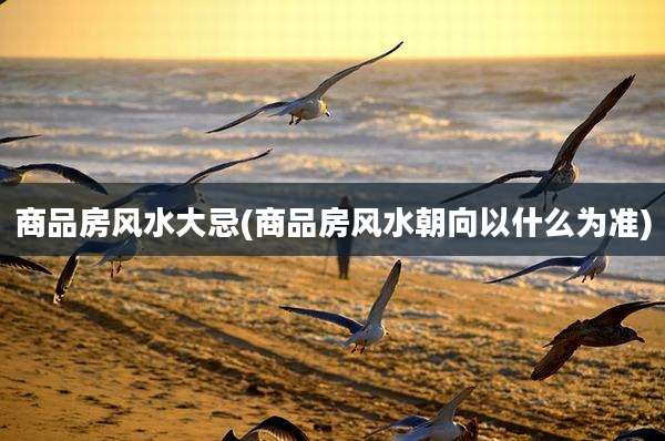 商品房风水大忌(商品房风水朝向以什么为准)