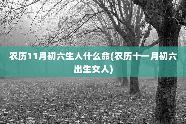 农历11月初六生人什么命(农历十一月初六出生女人)