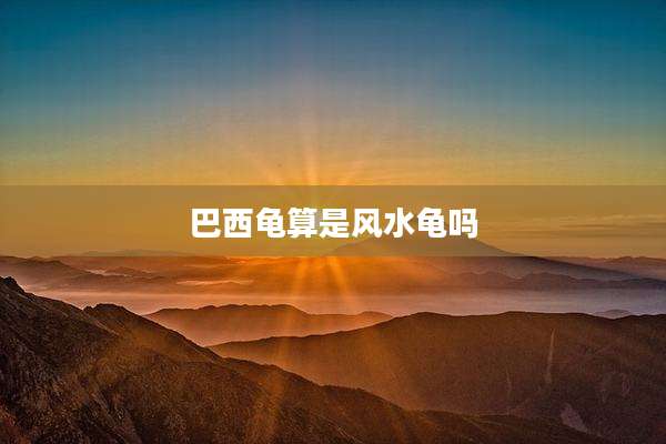 巴西龟算是风水龟吗