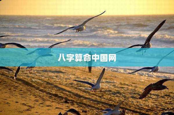 八字算命中国网