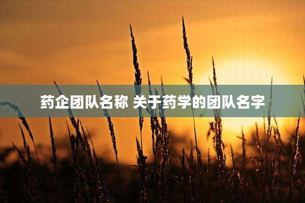 药企团队名称 关于药学的团队名字