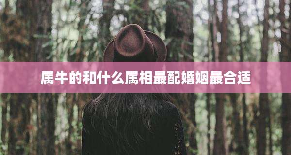 属牛的和什么属相最配婚姻最合适