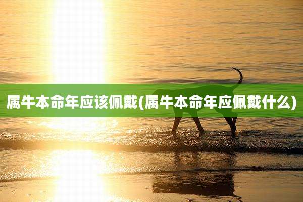 属牛本命年应该佩戴(属牛本命年应佩戴什么)