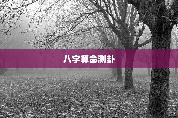 八字算命测卦