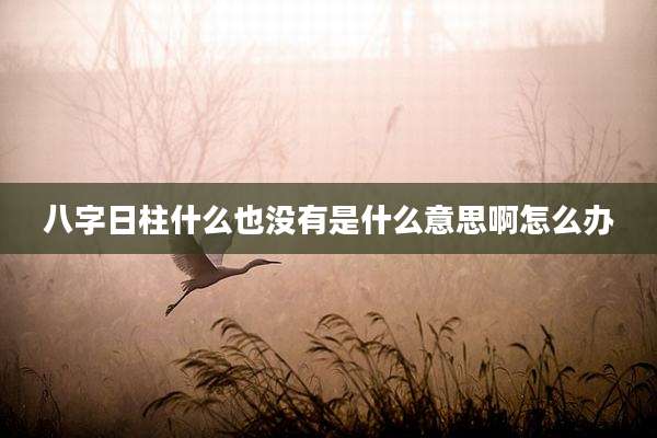 八字日柱什么也没有是什么意思啊怎么办