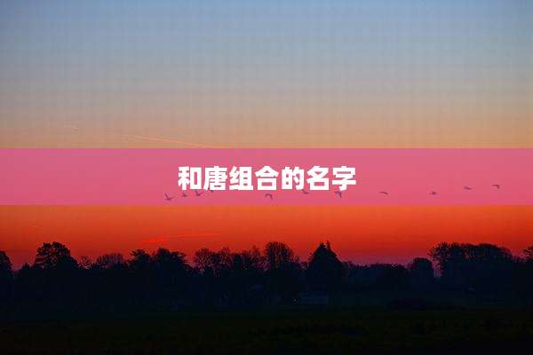 和唐组合的名字
