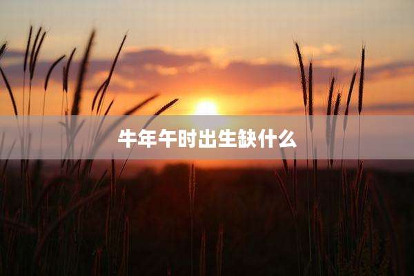 牛年午时出生缺什么