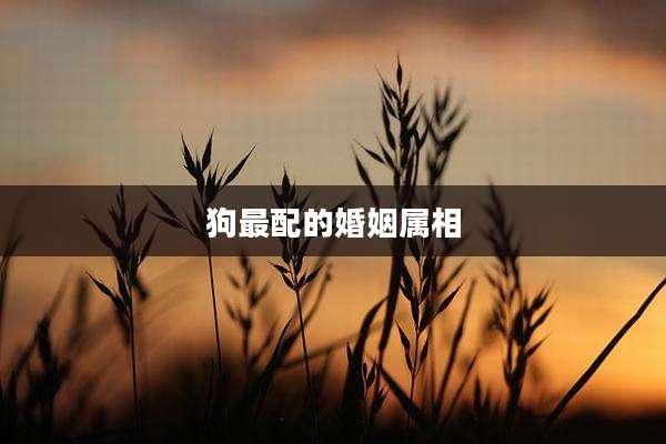 狗最配的婚姻属相