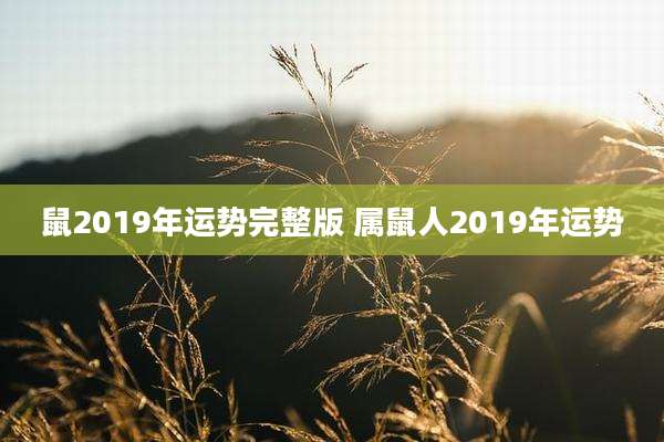 鼠2019年运势完整版 属鼠人2019年运势