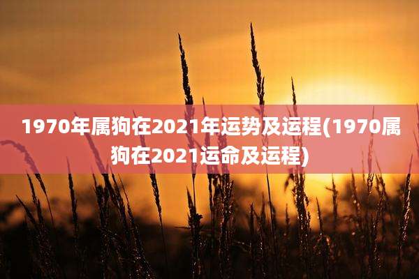 1970年属狗在2021年运势及运程(1970属狗在2021运命及运程)