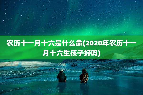 农历十一月十六是什么命(2020年农历十一月十六生孩子好吗)