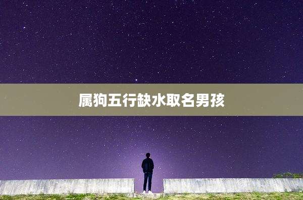 属狗五行缺水取名男孩
