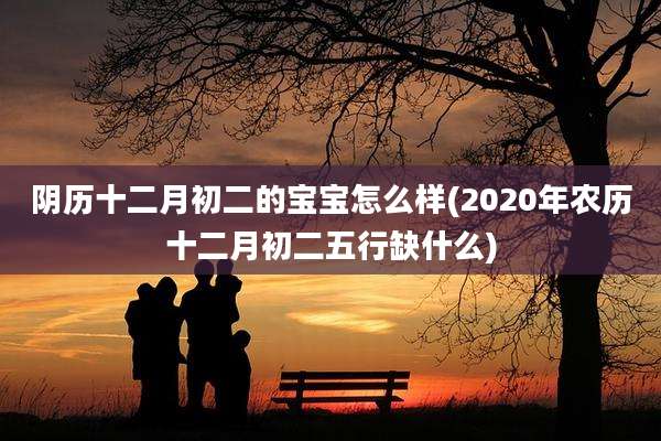 阴历十二月初二的宝宝怎么样(2020年农历十二月初二五行缺什么)