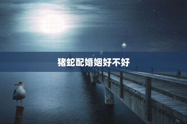 猪蛇配婚姻好不好