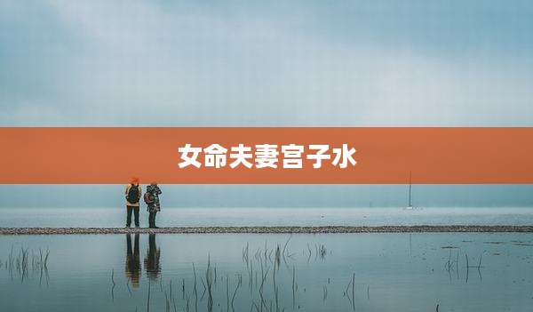 女命夫妻宫子水