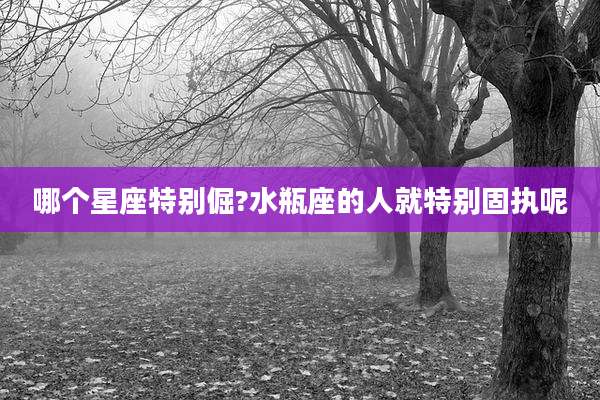 哪个星座特别倔?水瓶座的人就特别固执呢