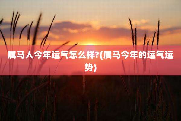 属马人今年运气怎么样?(属马今年的运气运势)