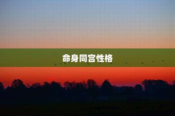 命身同宫性格