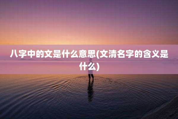 八字中的文是什么意思(文清名字的含义是什么)