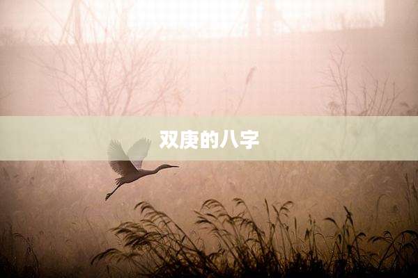 双庚的八字