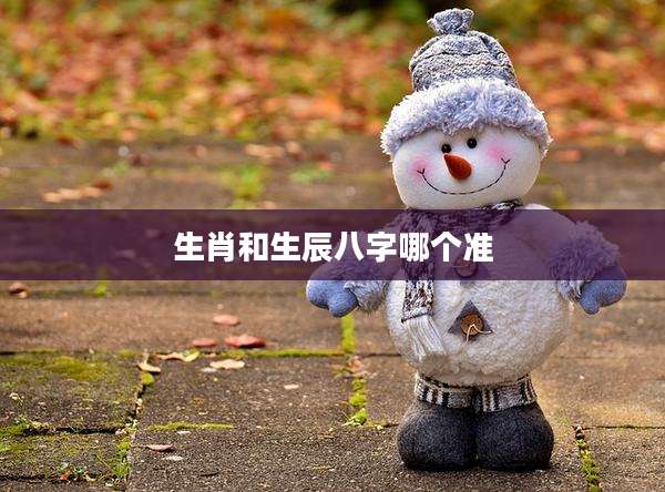 生肖和生辰八字哪个准