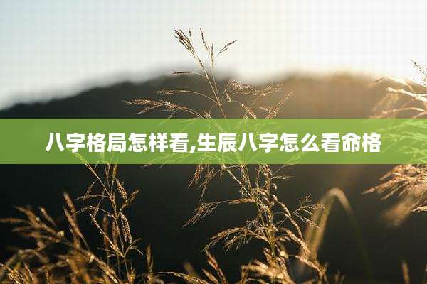 八字格局怎样看,生辰八字怎么看命格