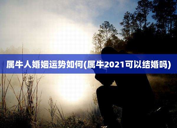 属牛人婚姻运势如何(属牛2021可以结婚吗)