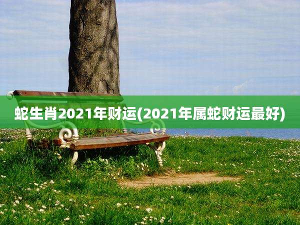 蛇生肖2021年财运(2021年属蛇财运最好)