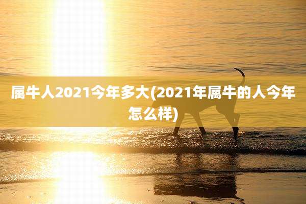 属牛人2021今年多大(2021年属牛的人今年怎么样)