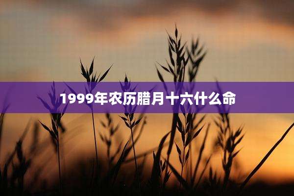 1999年农历腊月十六什么命