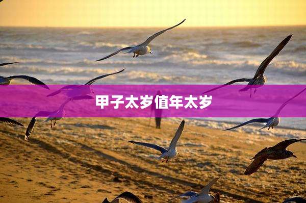 甲子太岁值年太岁