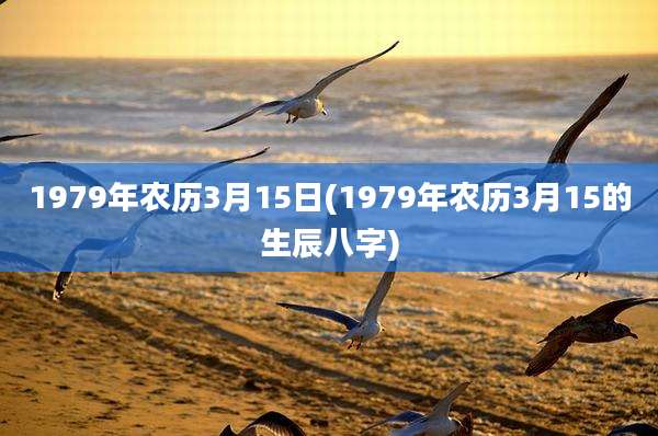 1979年农历3月15日(1979年农历3月15的生辰八字)