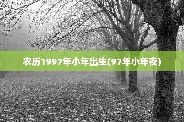 农历1997年小年出生(97年小年夜)