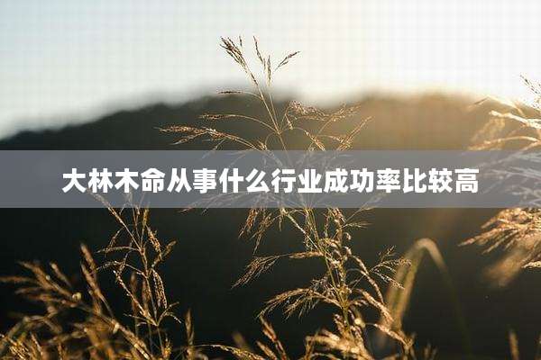 大林木命从事什么行业成功率比较高