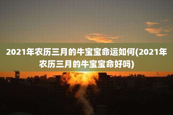 2021年农历三月的牛宝宝命运如何(2021年农历三月的牛宝宝命好吗)