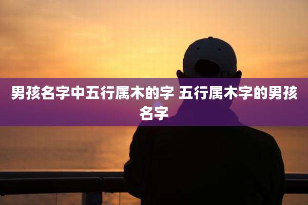 男孩名字中五行属木的字 五行属木字的男孩名字