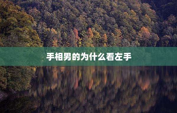 手相男的为什么看左手