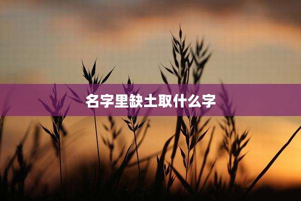 名字里缺土取什么字