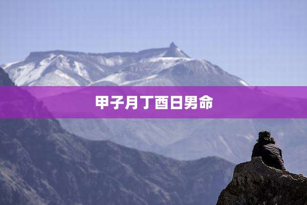 甲子月丁酉日男命